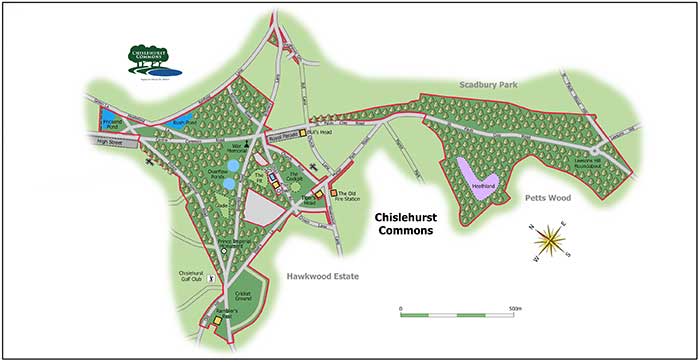 Continuity and biodiversity on Chislehurst Commons